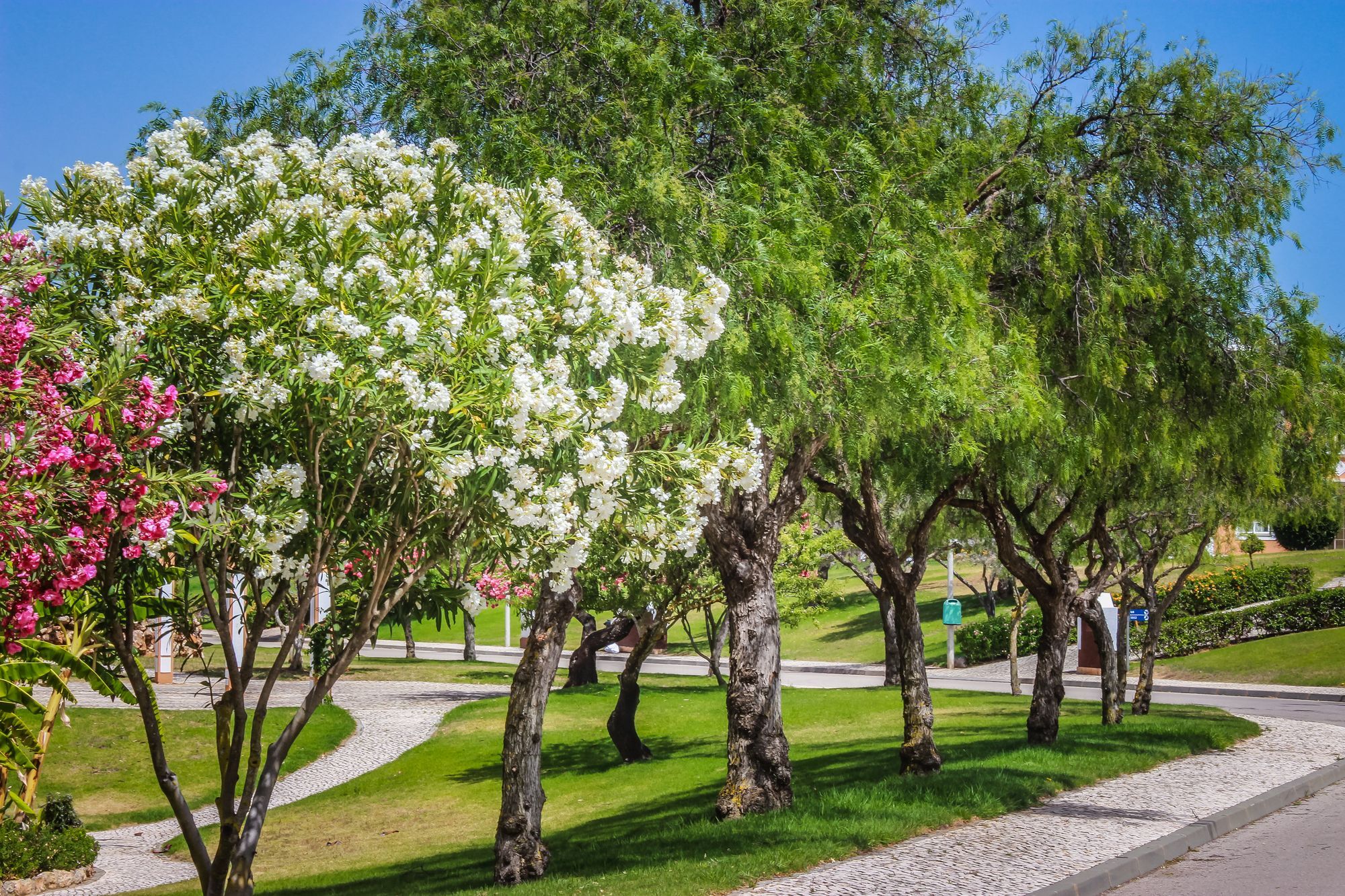 Colina Da Lapa & Villas Карвоейру Экстерьер фото